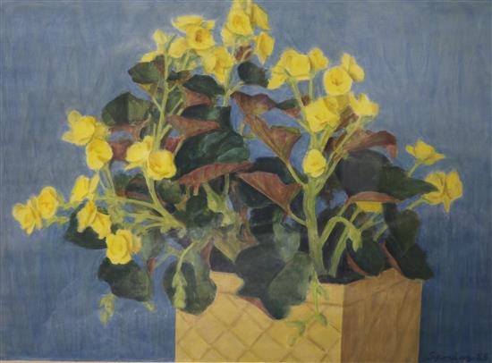 Bryan Senior (b.1935) Yellow Begonias 42 x 57cm